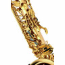 Альт-саксофон Thomann TAS-580 GL Alto Sax