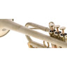 АР Резонанс Классика Тромпет Си-бемоль AR Resonance Classica Bb-Trumpet