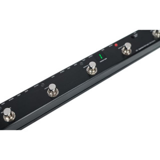 Одна контрольная петля на хвосте Agamidae One Control Agamidae Tail Loop