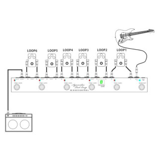 Одна контрольная петля на хвосте Agamidae One Control Agamidae Tail Loop