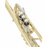 Труба Yamaha YTR-8445 04 Trumpet Yamaha YTR-8445 04 Trumpet