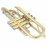Труба Yamaha YTR-8445 04 Trumpet Yamaha YTR-8445 04 Trumpet
