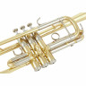 Труба Yamaha YTR-8445 04 Trumpet Yamaha YTR-8445 04 Trumpet