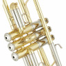 Труба Yamaha YTR-8445 04 Trumpet Yamaha YTR-8445 04 Trumpet