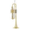 Труба Yamaha YTR-8445 04 Trumpet Yamaha YTR-8445 04 Trumpet