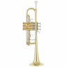 Труба Yamaha YTR-8445 04 Trumpet Yamaha YTR-8445 04 Trumpet