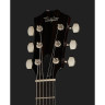 Taylor T5z Pro CR Taylor T5z Pro CR
