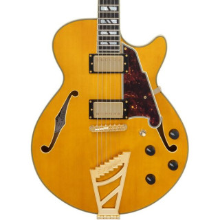 D'Angelico Excel SS Amber DAngelico Excel SS Amber