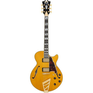 D'Angelico Excel SS Amber DAngelico Excel SS Amber