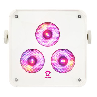 Комплект светодиодных ламп с кейсом Ape Labs ApeLight maxi V2 (B) TP 6 FC C Ape Labs ApeLight maxi V2 (B) TP 6 FC C