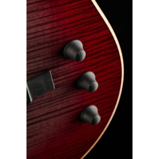 Taylor T5z Pro GV Taylor T5z Pro GV