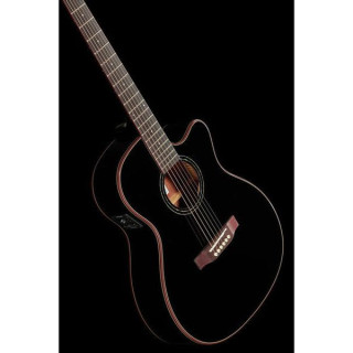 Harley Benton EAX-500TL Черный Harley Benton EAX-500TL Black