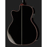 Harley Benton EAX-500TL Черный Harley Benton EAX-500TL Black