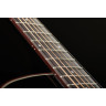 Harley Benton EAX-500TL Черный Harley Benton EAX-500TL Black