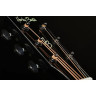 Harley Benton EAX-500TL Черный Harley Benton EAX-500TL Black