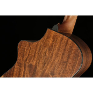 Breedlove Oregon Concert Saddleback CE Breedlove Oregon Concert Saddleback CE