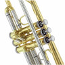 Труба Jupiter JTR701Q Bb- Trumpet Jupiter JTR701Q Bb- Trumpet