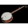 Банджо Harley Benton HBJ-25