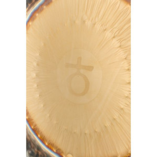 RealGong 32"/81cm Planet Gong Earth RealGong 32"/81cm Planet Gong Earth