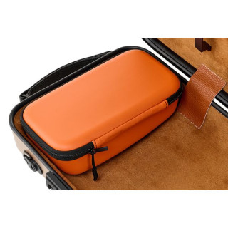 Ройт & Джуниус Чехол для скрипки PolyCarb SAP-GO Roth & Junius PolyCarb Violin Case SAP-GO