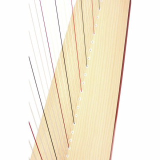 Рычажная арфа Salvi Titan 38 Str. CH/GT Salvi Titan Lever Harp 38 Str. CH/GT