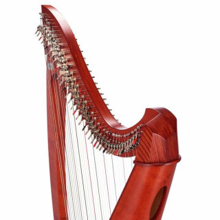 Рычажная арфа Salvi Titan 38 Str. CH/GT Salvi Titan Lever Harp 38 Str. CH/GT