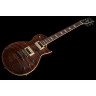 Электрогитара Harley Benton SC-Custom II SPAF Bundle №566908 (Комплект)