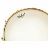 Барабаны Schagerl Philharmonic Antares 14"x5" Schagerl Drums Philharmonic Antares 14"x5"