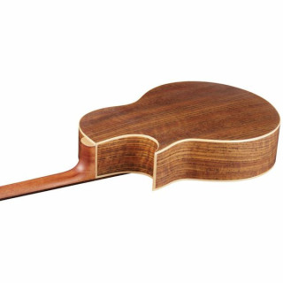 Акустическая бас-гитара Warwick Alien 4 NT