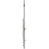 Жемчужные флейты Quantz B665RBE-Флейта HC Pearl Flutes Quantz B665RBE-HC Flute