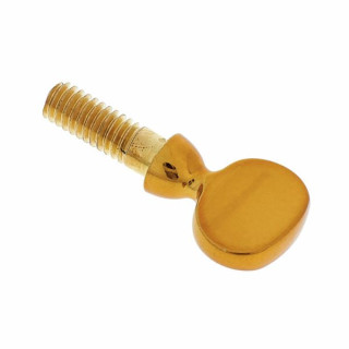 Винт с S-образным вырезом Selmer темно-золотой лакированный Selmer S- Neck Screw Dark gold lacque