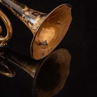 Тейлор Тромпеты Немезис Bb-труба Taylor Trumpets Nemesis Bb-Trumpet