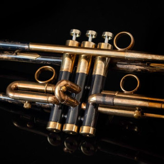 Тейлор Тромпеты Немезис Bb-труба Taylor Trumpets Nemesis Bb-Trumpet