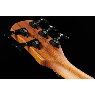 Spector NS Pulse II 5 Черная вишня Spector NS Pulse II 5 Black Cherry