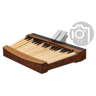 Басовая педаль Viscount MIDI 32 Radial C. Viscount MIDI Bass Pedal 32 Radial C.