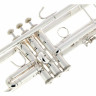 Bach 180S43 Bb-Trumpet Bach 180S43 Bb-Trumpet
