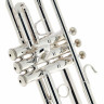 Bach 180S43 Bb-Trumpet Bach 180S43 Bb-Trumpet