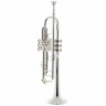 Bach 180S43 Bb-Trumpet Bach 180S43 Bb-Trumpet