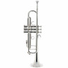 Bach 180S43 Bb-Trumpet Bach 180S43 Bb-Trumpet