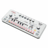 Cyclone Analogic TT-303 Bass Bot V2 Cyclone Analogic TT-303 Bass Bot V2