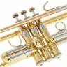Bach TR-450 Bb-Trumpet Bach TR-450 Bb-Trumpet