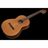 Классическая коллекция Godin Godin Collection Classic