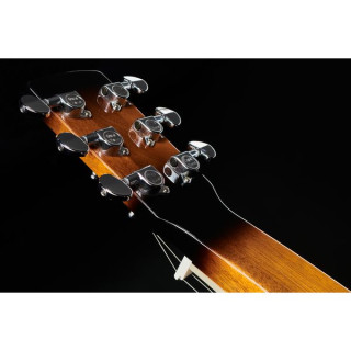 Резонаторная гитара Gold Tone PBS Gold Tone PBS