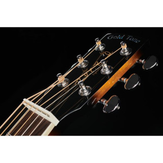 Резонаторная гитара Gold Tone PBS Gold Tone PBS