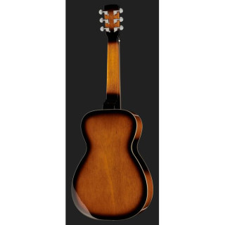 Резонаторная гитара Gold Tone PBS