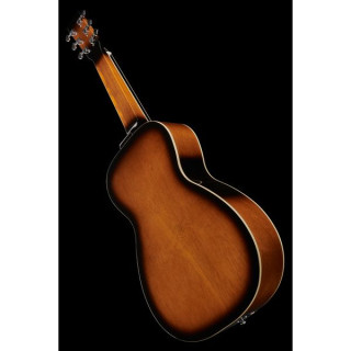 Резонаторная гитара Gold Tone PBS