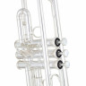 Труба Yamaha YTR-8345GS 04 Yamaha YTR-8345GS 04 Trumpet