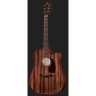 Harley Benton CLD-15MCE из массива дерева Набор №545364 Harley Benton CLD-15MCE SolidWood Bundle №545364