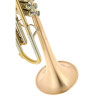 Феникс B2 Bb-труба Fenix B2 Bb-Trumpet