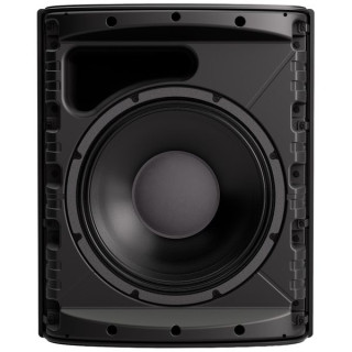 Bose Professional DesignMax DM12SE черный Bose Professional DesignMax DM12SE black